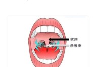 手提充电器唱歌怎么用的？使用过程中有哪些技巧？
