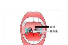 手提充电器唱歌怎么用的？使用过程中有哪些技巧？