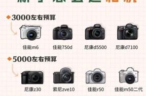 为什么买不起数码相机？价格因素还是其他原因？