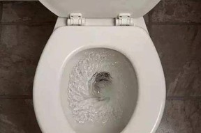 解决马桶堵纸问题的两种快速方法（快试试）