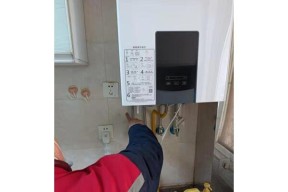 壁挂炉不启动的解决方法（为什么壁挂炉无法启动）