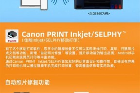 佳能3860打印机的设置方法是什么？设置打印时有哪些常见问题？