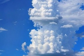云朵汽车手机软件是什么？功能特点有哪些？