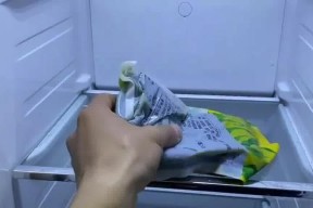 冰箱漏水的原因及解决方法（探究冰箱漏水的故障现象）