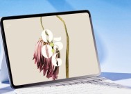 小米平板下载同城游方法是什么？如何安装？