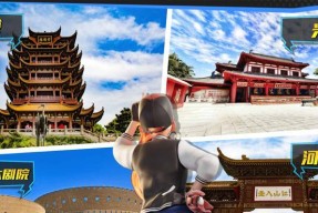 遨游中国模拟器到家的操作步骤是什么？