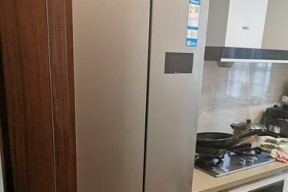 小天鹅有哪些种类冰箱？小天鹅冰箱的特点是什么？