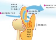 电风扇拆卸困难的原因是什么？如何安全拆解？