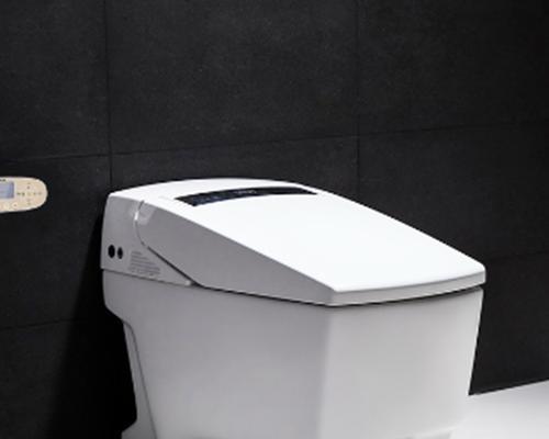 维卫智能马桶喷头漏水原因及维修方法（智能马桶喷头不定时漏水的解决方案）  第1张