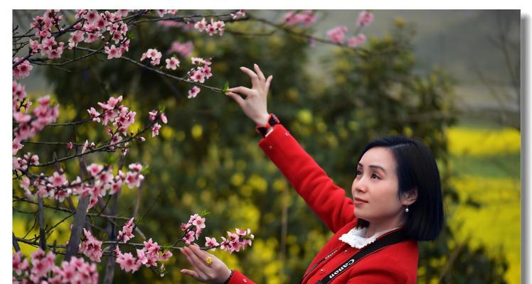 东芝打印机0270故障排除指南（了解常见故障原因）  第3张