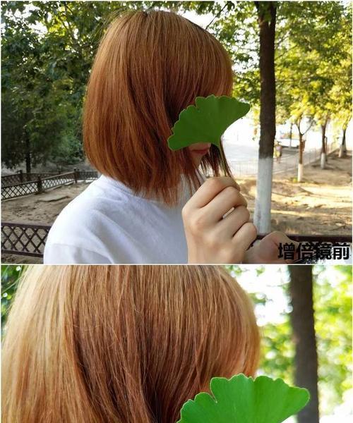 苹果手机使用变形镜头拍照技巧是什么？  第1张