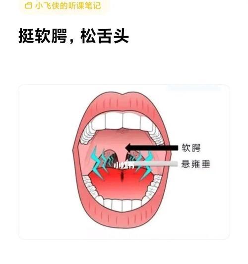手提充电器唱歌怎么用的？使用过程中有哪些技巧？  第1张