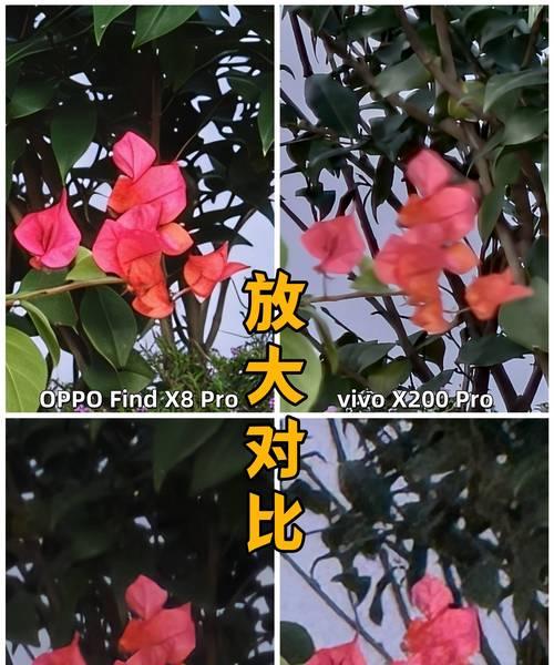 手机相机搭配什么软件可以提升效果？  第3张