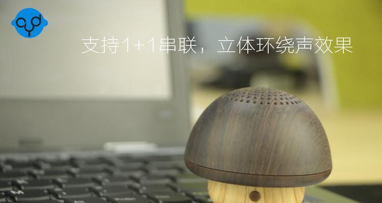两个主音箱串联的正确方法是什么？  第1张