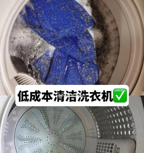 洗衣机中的螨虫长什么样？  第3张