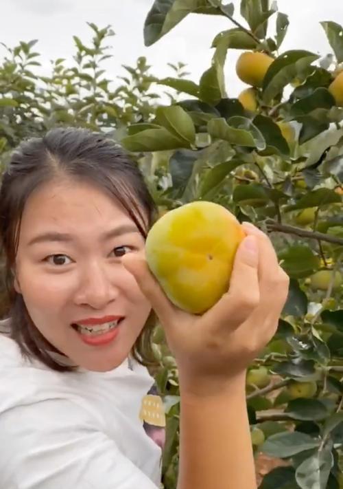 拿柿子怎么砸手机壳的？这样做安全吗？  第2张