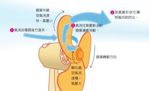 电风扇拆卸困难的原因是什么？如何安全拆解？  第1张
