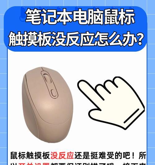 如何正确手持鼠标操作电脑？手持鼠标时常见问题有哪些？  第2张