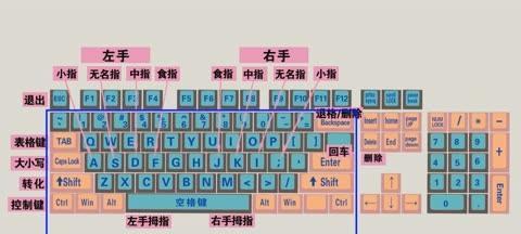 键盘打字专用笔是什么？键盘打字笔的正确使用方法是什么？  第1张