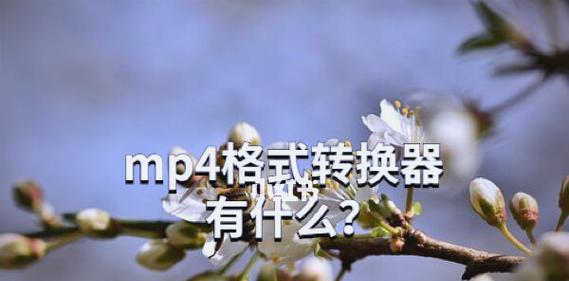 视频转换器使用方法是什么？  第3张