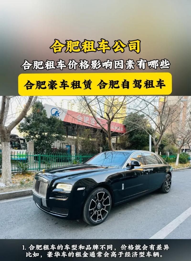 万春租车提供哪些电瓶车租赁服务？  第2张
