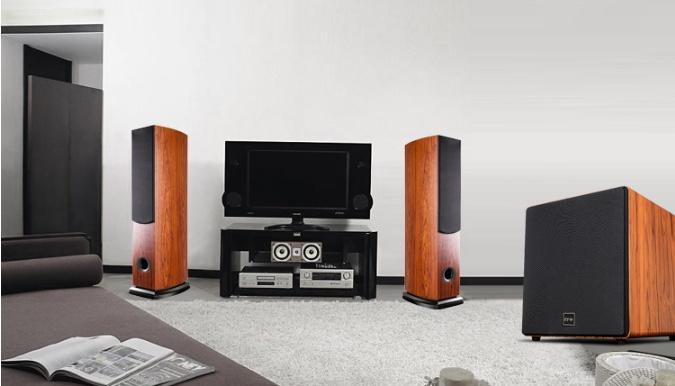 低音炮右声道声音沙哑什么原因？如何快速解决？  第1张